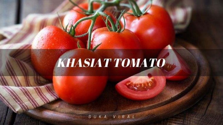 khasiat tomato